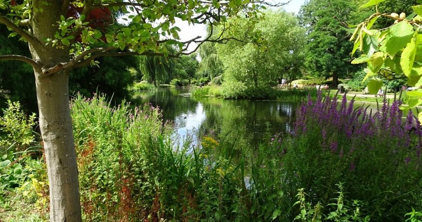 ریجنتز پارک لندن