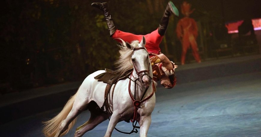 سیرک بین المللی چیملانگ گوانجو