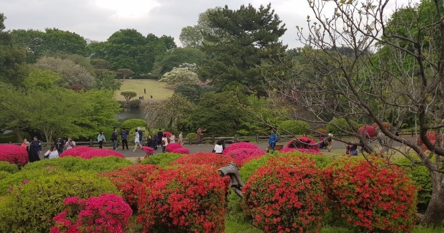 پارک شینجوکو گیوئن توکیو