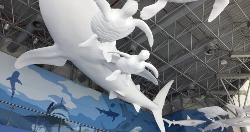 آکواریوم شارجه آکواریوم شارجه