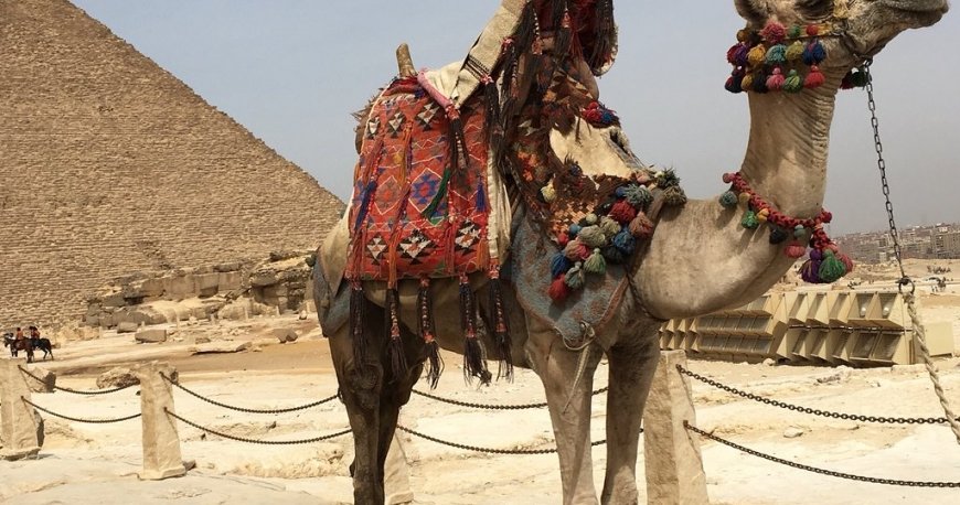 اهرام ثلاثه (جیزه) قاهره اهرام ثلاثه (جیزه) قاهره