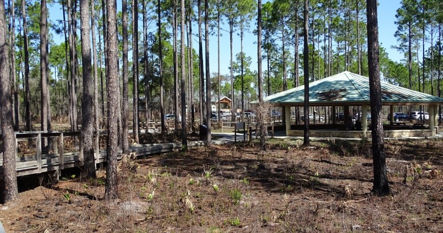 پارک حفاظت شده پاناما