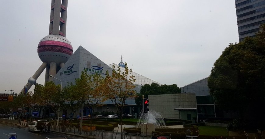 برج مروارید شرقی شانگهای برج مروارید شرقی شانگهای