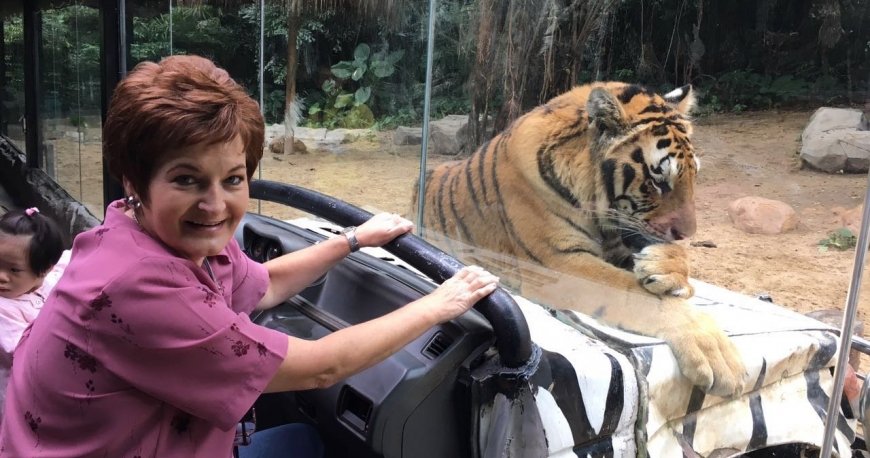 سیرک بین المللی چیملانگ گوانجو