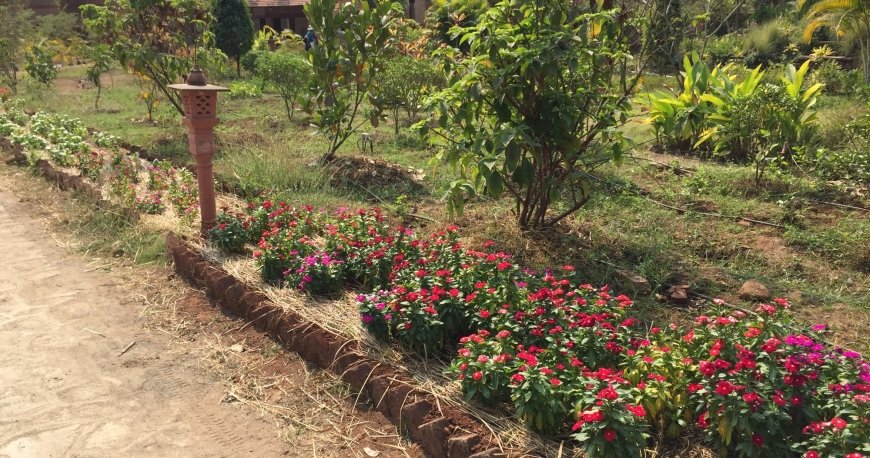 روستای گواردهان روستای گواردهان