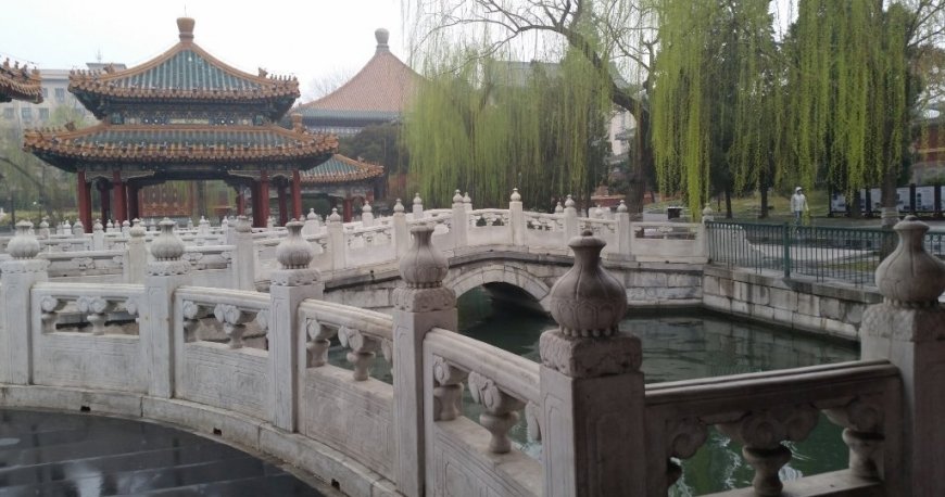 پارک بی‌ های پکن