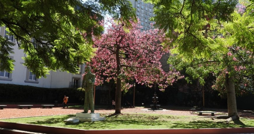 محله رکولتا بوینس آیرس