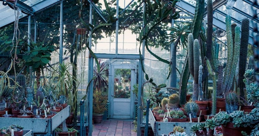 باغ گیاهشناسی گوتنبرگ