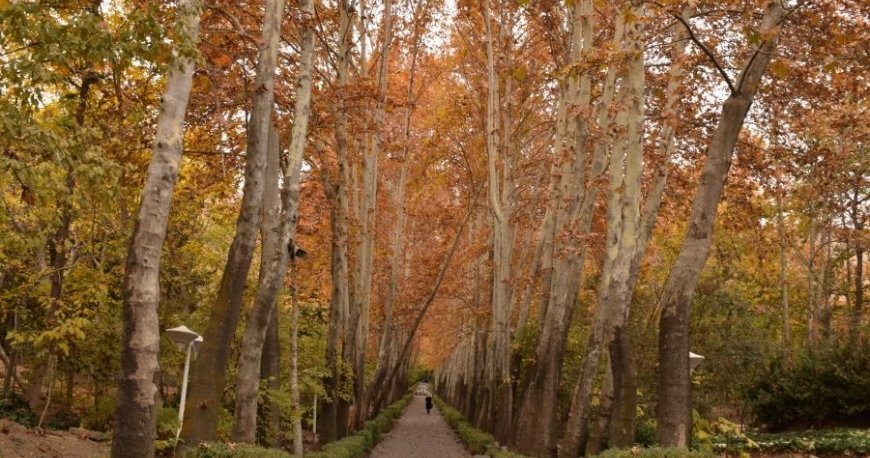 پارک سنگی جمشیدیه