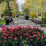 پارک ملت پارک ملت