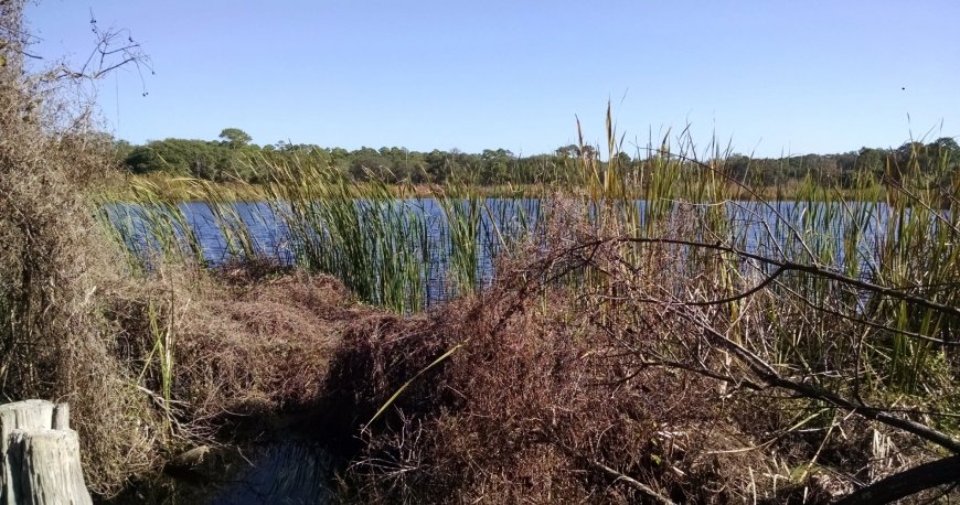 پارک حفاظت شده پاناما