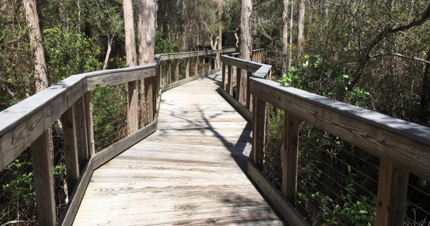 پارک حفاظت شده پاناما