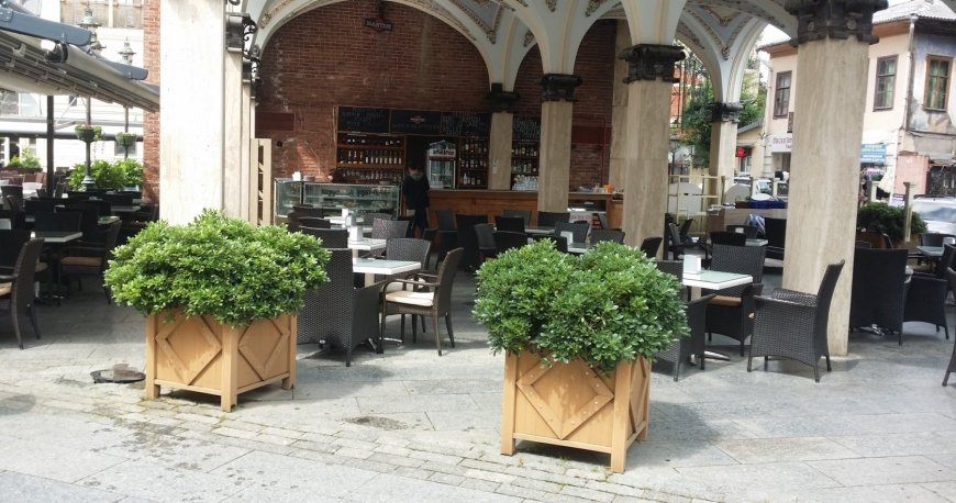 میدان پیازا