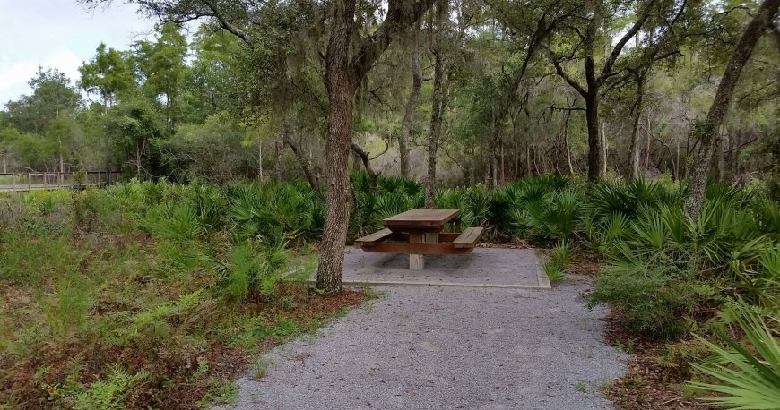 پارک حفاظت شده پاناما