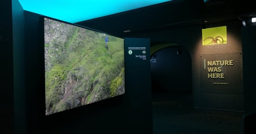 موزه تیلز فرام آیسلند ریکجاویک