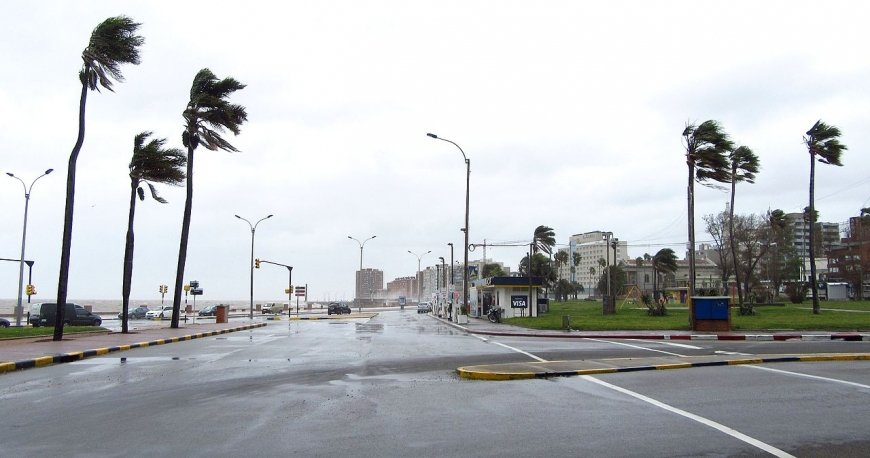 مسیر پیاده روی رامبلا مونته ویدئو