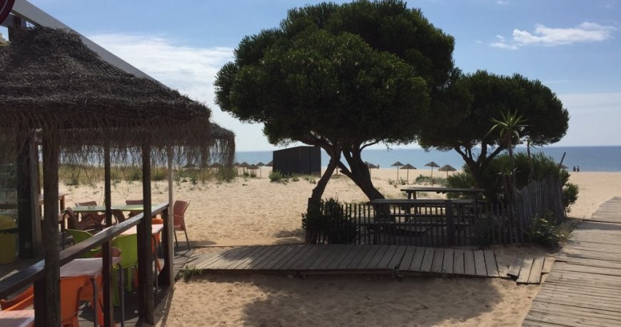 ساحل میا پرایا لاگوس