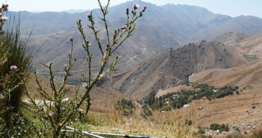 الوند الوند