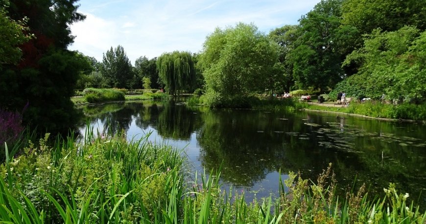 ریجنتز پارک لندن