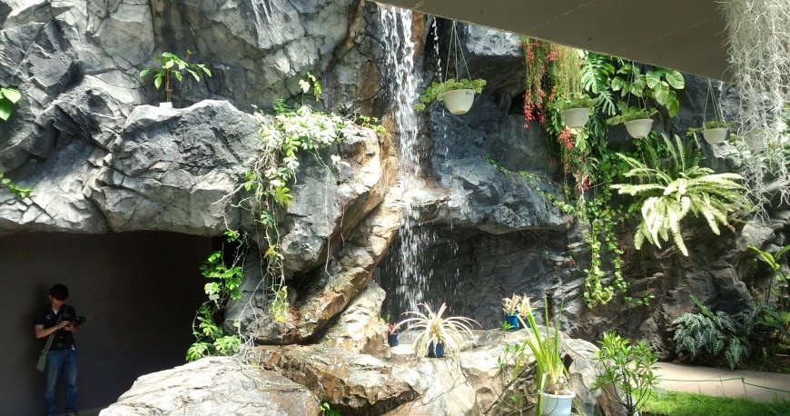 پارک شینجوکو گیوئن توکیو