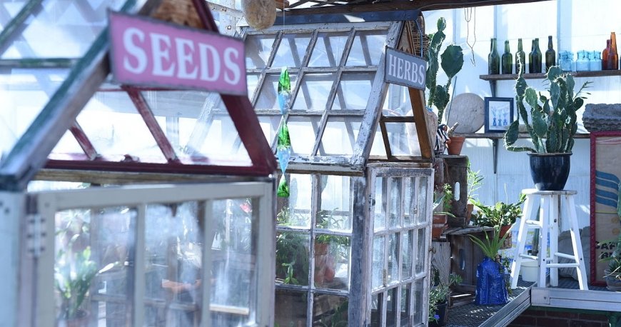 باغ گیاهشناسی گوتنبرگ