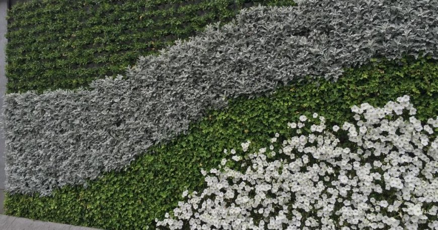 منطقه پودونگ شانگهای