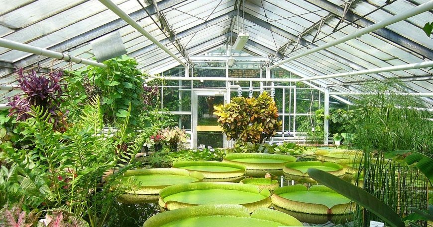 باغ گیاهشناسی گوتنبرگ