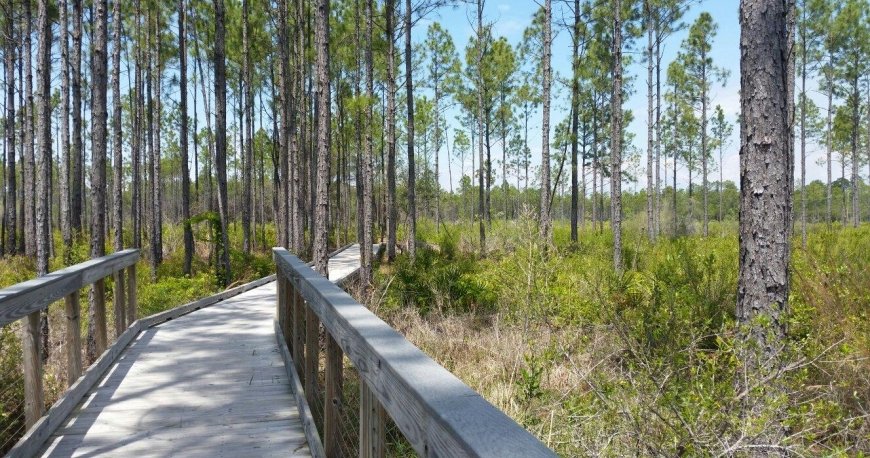 پارک حفاظت شده پاناما