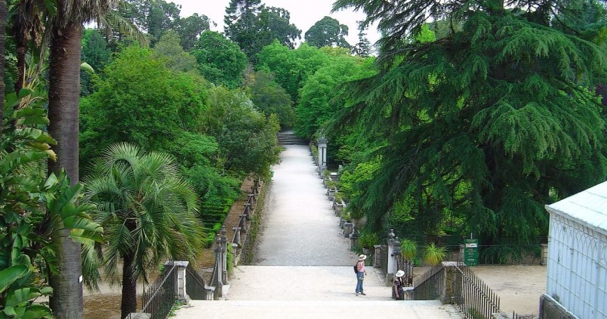 باغ گیاهشناسی گوتنبرگ