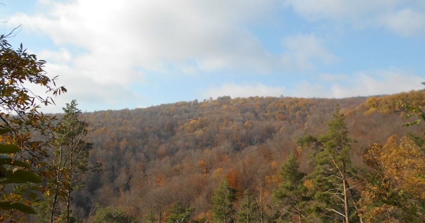 کوه مِدوِدنیکا