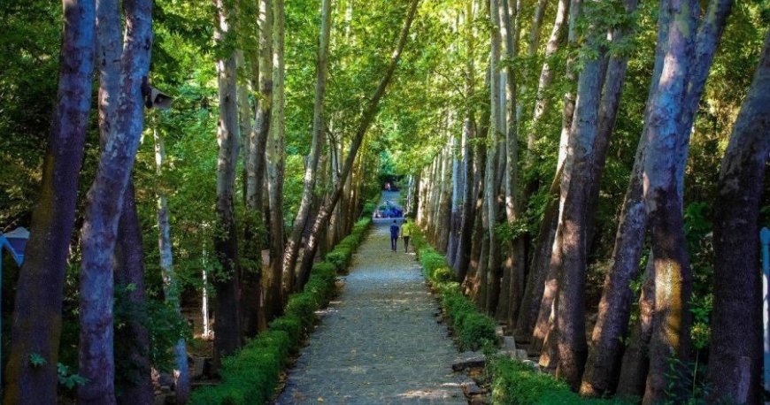 پارک سنگی جمشیدیه