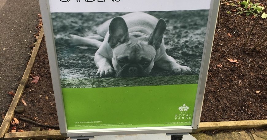 ریجنتز پارک لندن