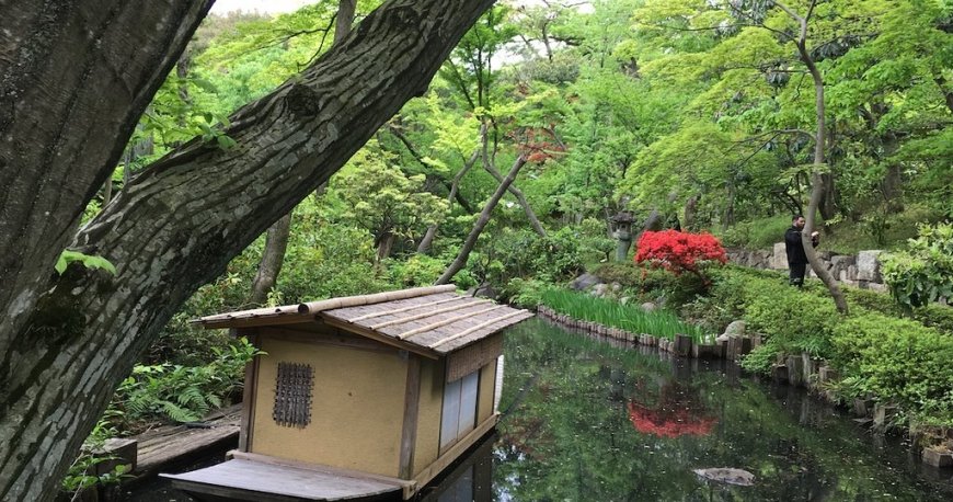 موزه نزو توکیو موزه نزو توکیو