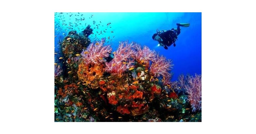 غواصی در جزیره کیش غواصی در جزیره کیش