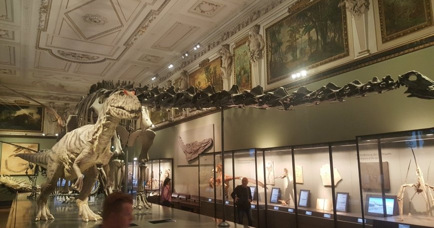 موزه نچرال هیستوری وین موزه نچرال هیستوری وین