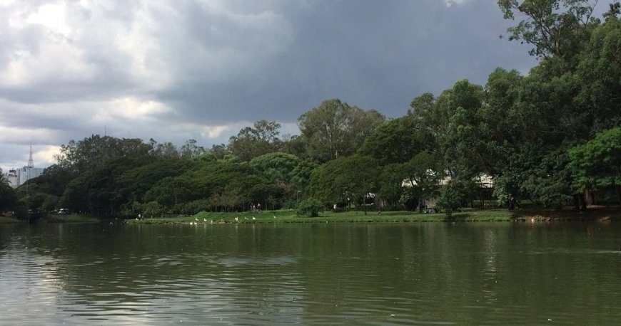 پارک ایبریپورا سائوپائولو