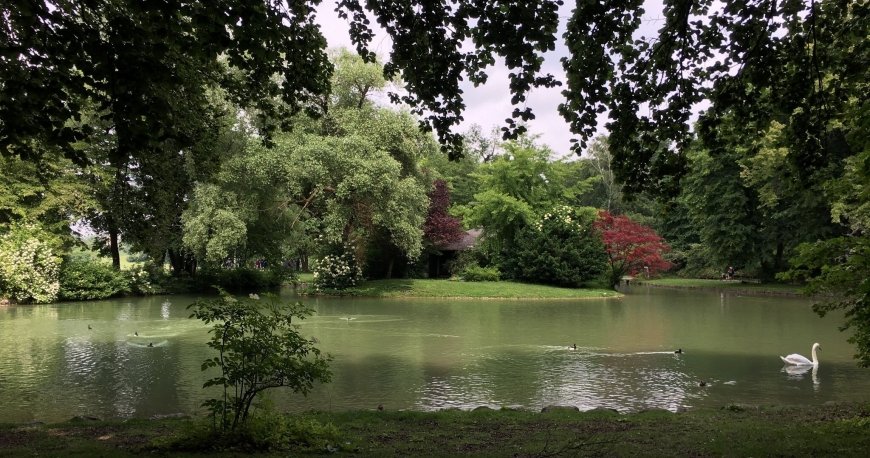 باغ انگلیسی مونیخ باغ انگلیسی مونیخ