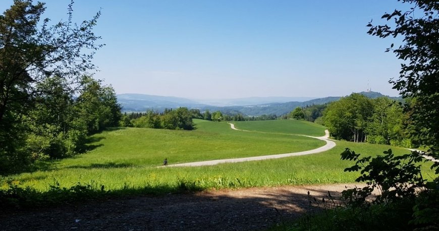 کوه یتلیبرگ زوریخ کوه یتلیبرگ زوریخ