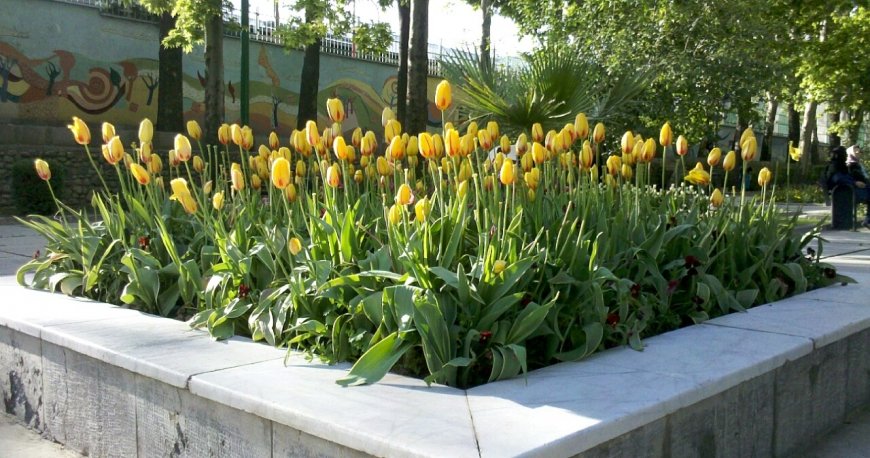 پارک ملت مشهد پارک ملت مشهد