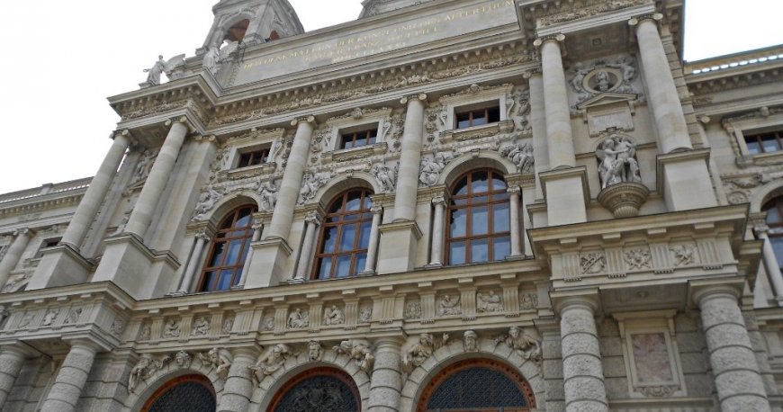 موزه هنرهای زیبا وین موزه هنرهای زیبا وین