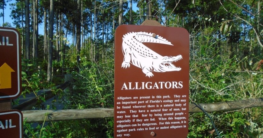 پارک حفاظت شده پاناما