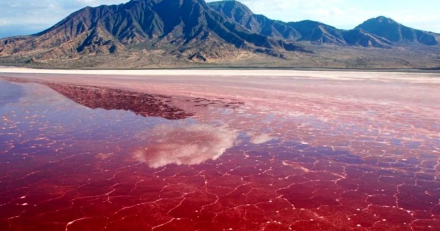 تالاب لیپار تالاب لیپار