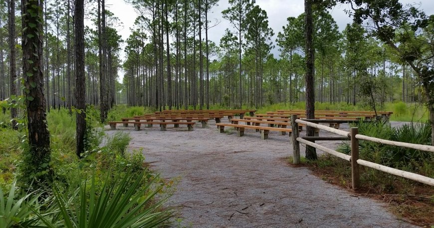 پارک حفاظت شده پاناما