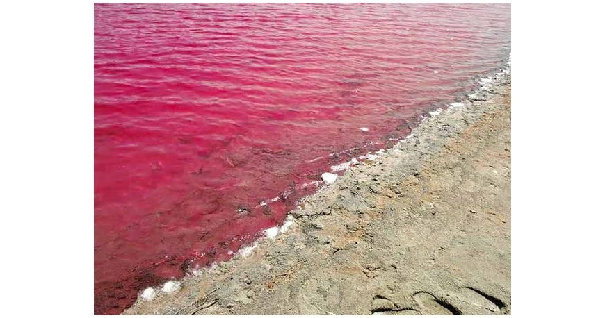 تالاب لیپار تالاب لیپار