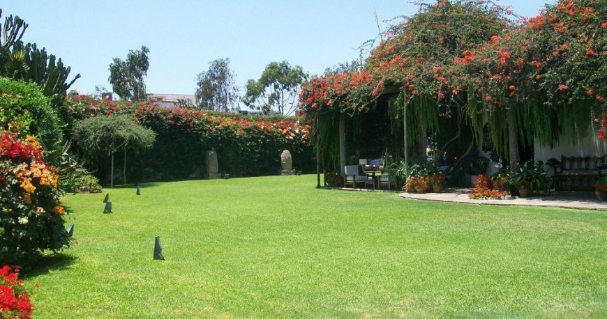 موزه لارکو لیما