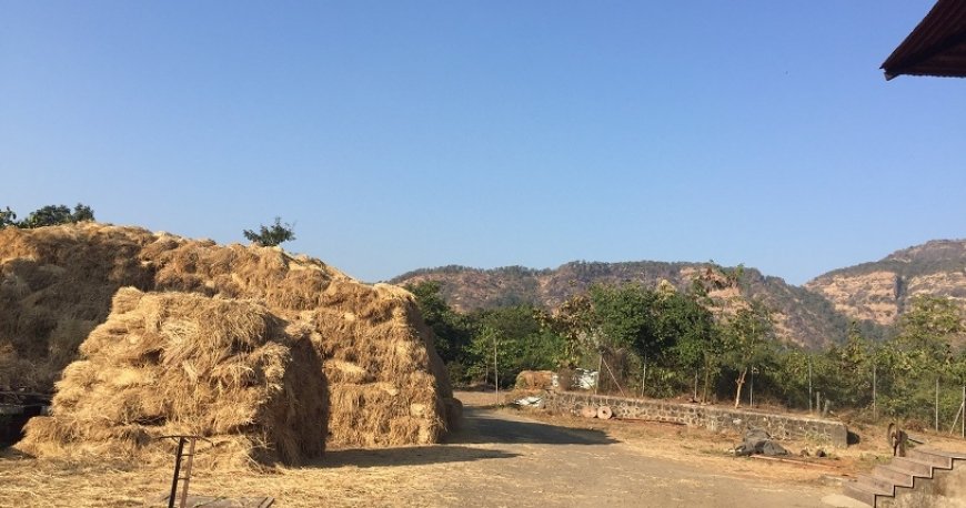 روستای گواردهان روستای گواردهان