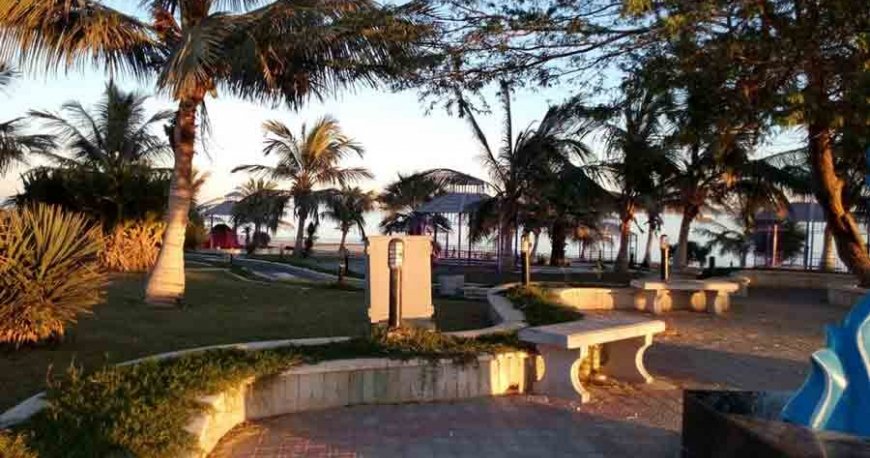 پارک زیتون قشم پارک زیتون قشم