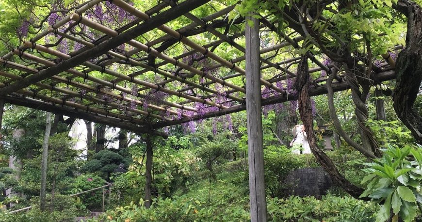 موزه نزو توکیو موزه نزو توکیو