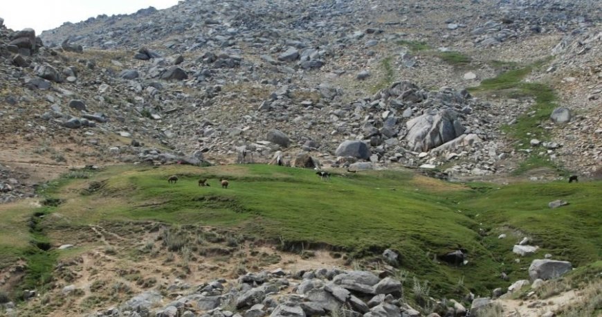 الوند الوند