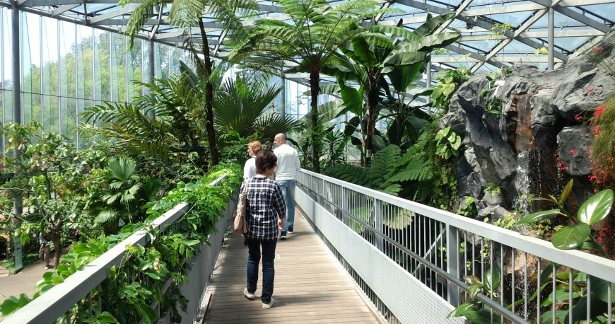 پارک شینجوکو گیوئن توکیو